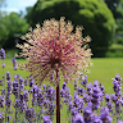 James  zoekt een Studio / Appartement in Wageningen